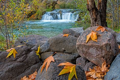 fossil creek national forest.